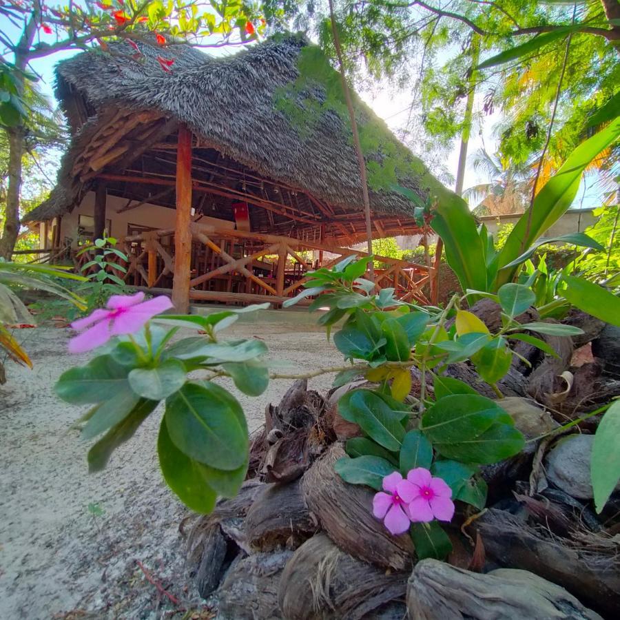 Eden Paradise Michamvi Dış mekan fotoğraf