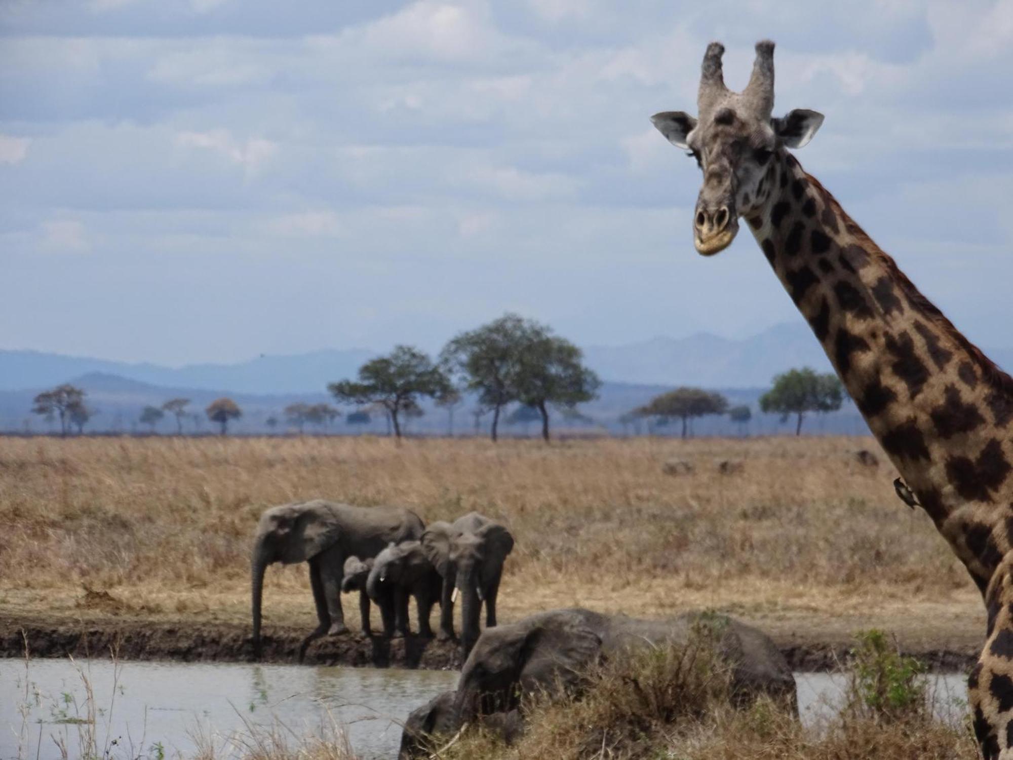 Eden Paradise Michamvi Dış mekan fotoğraf